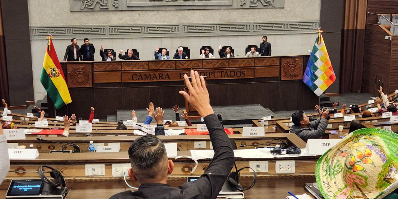 Desarrollo de la primera Sesión Preparatoria de la Cámara de Diputados para la Legislatura 2025-2026. Foto: Cámara de Diputados