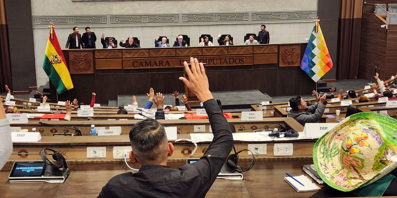 FOTO: Cámara de Diputados.