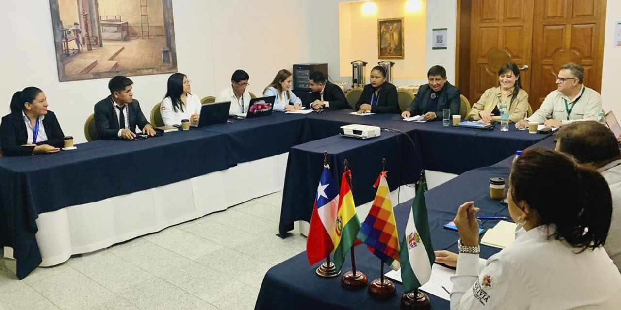 Técnicos del SAG chileno y el Senasag en una reunión anterior. 