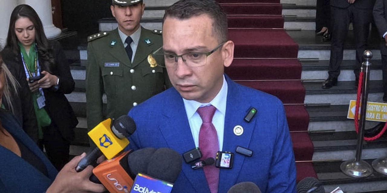 El presidente del TSJ, Romer Saucedo.