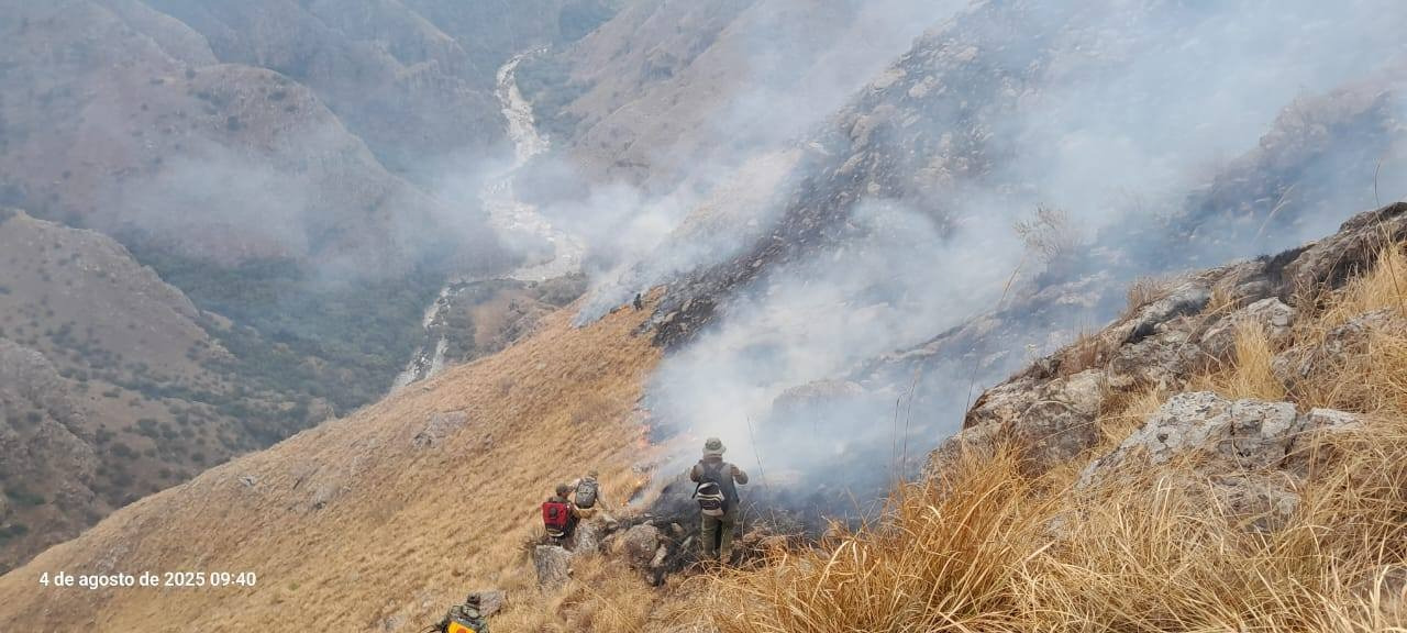 Ayudaincendios07082