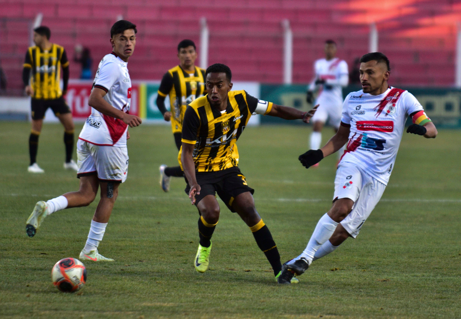 Tigre10082