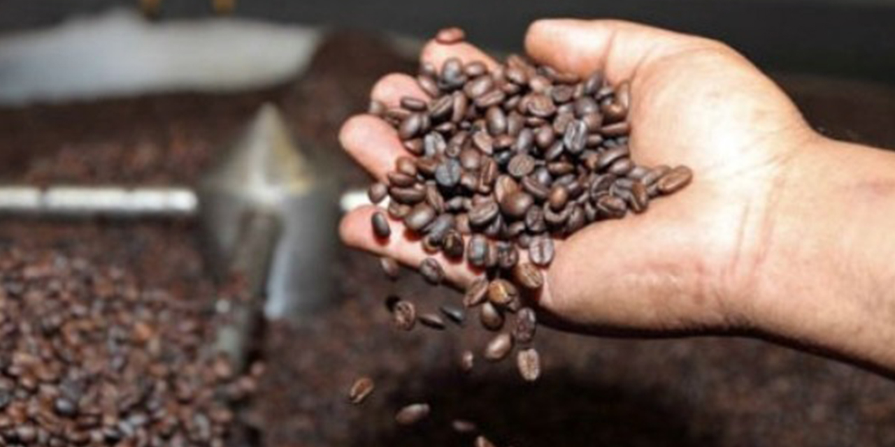 Arce destaca el apoyo de $us 8,56 MM para la producción de café en Yungas y su venta 