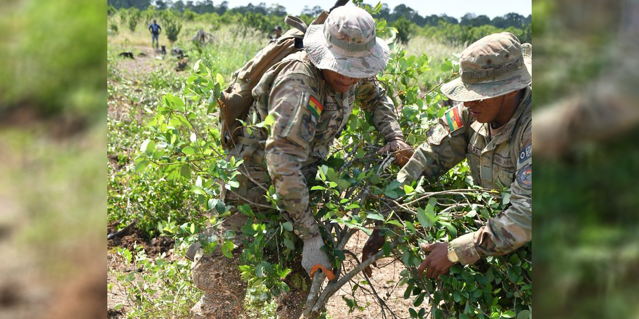 Declaran al Parque Nacional El Choré libre del cultivo ilegal de hoja de coca