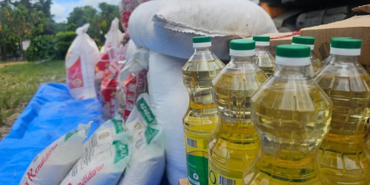 Parte de la ayuda humanitaria entregada por el Gobierno nacional. 