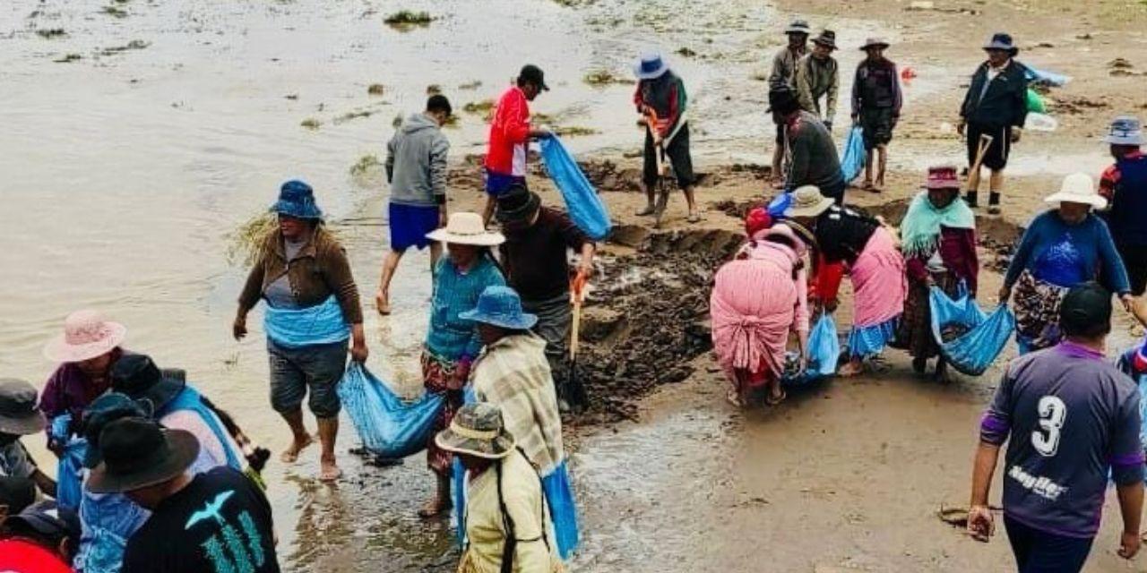 Desborde del río Katari arrasa con sembradíos en la comunidad de Coachijo en Pucarani, La Paz