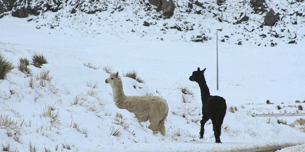 Bolivia enfrenta una nueva etapa climática con heladas, granizadas y temperaturas extremas