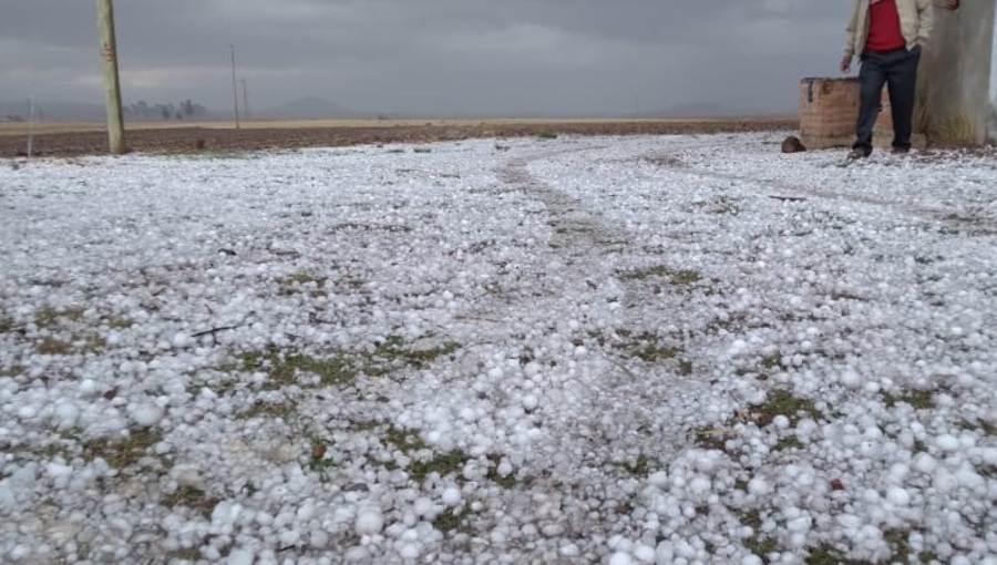 SEG GRANIZADAS