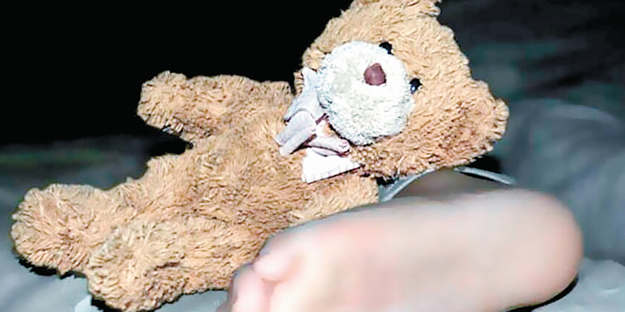 Un peluche con el cuerpo de un menor.
