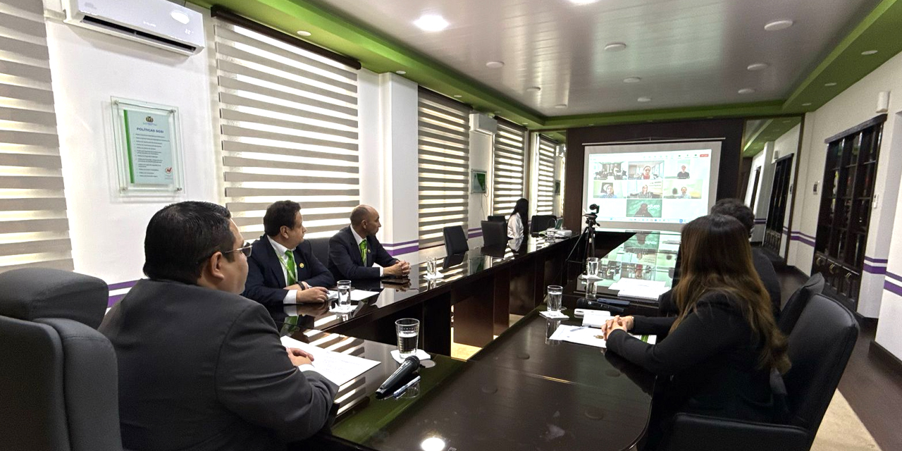 Reunión virtual con representantes de la organización Educo.