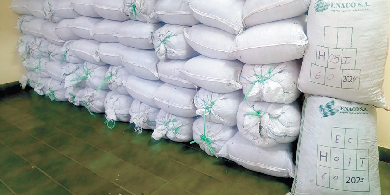 Coca peruana ilegal decomisada por efectivos antidrogas.
