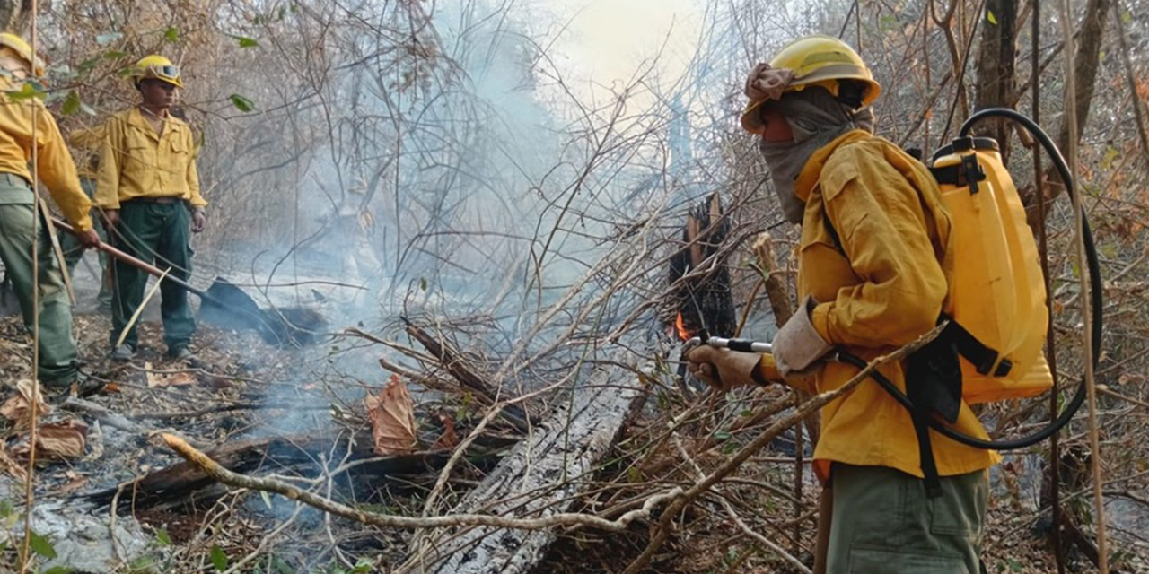 Los incendios forestales devastaron más de 12 millones de hectáreas durante 2024