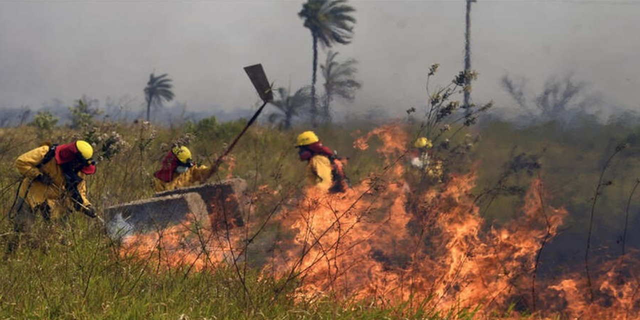 Hay 174 procesos penales por  incendios forestales en el país