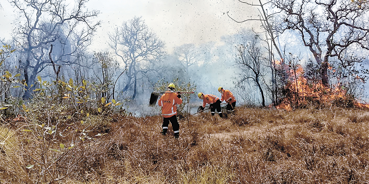 Bomberos sofocan un incendio.