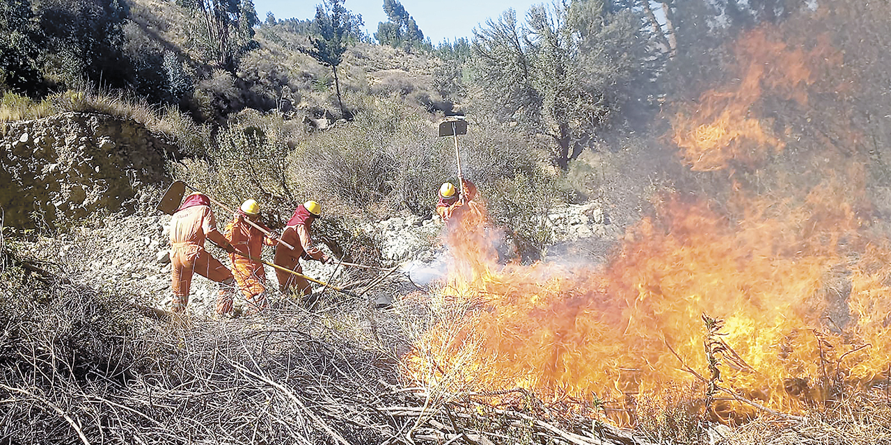 Bomberos luchan contra los incendios forestales en el Parque Tunari.