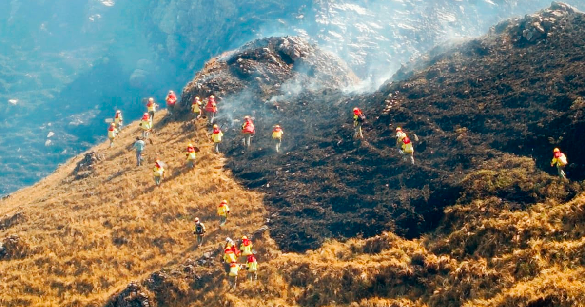 FOTO:  Ministerio de defensa