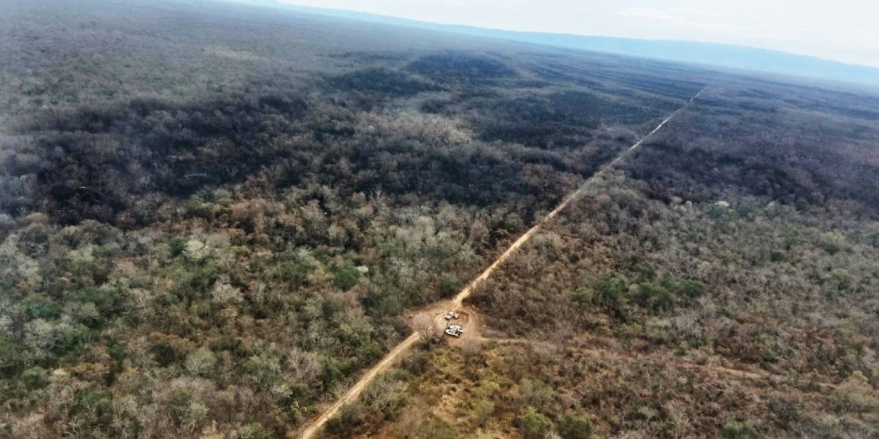 Afectación por los incendios en el área protegida Ñembi Guasu. Afectación por los incendios en el área protegida Ñembi Guasu.