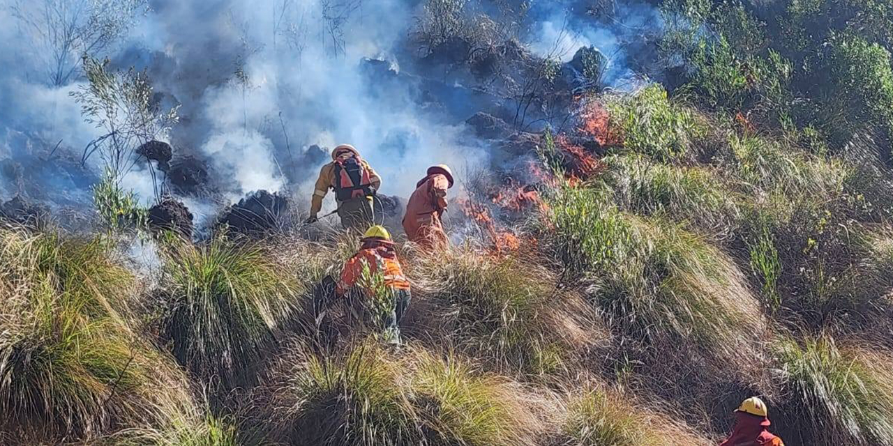 Militares controlan el incendio en el municipio potosino de Torotoro
