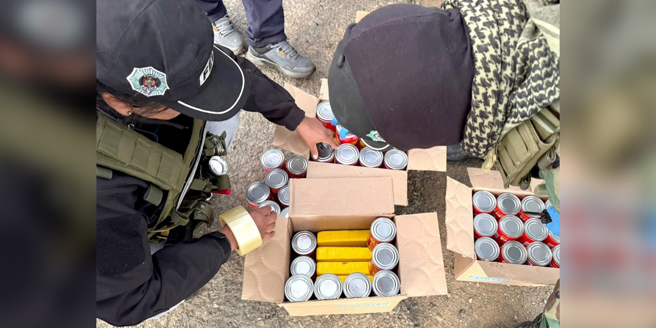 Droga hallada en latas de sardina.
