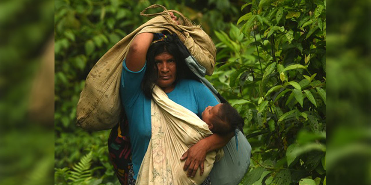 La ONU revisará cuál es la situación de los derechos humanos en Bolivia 