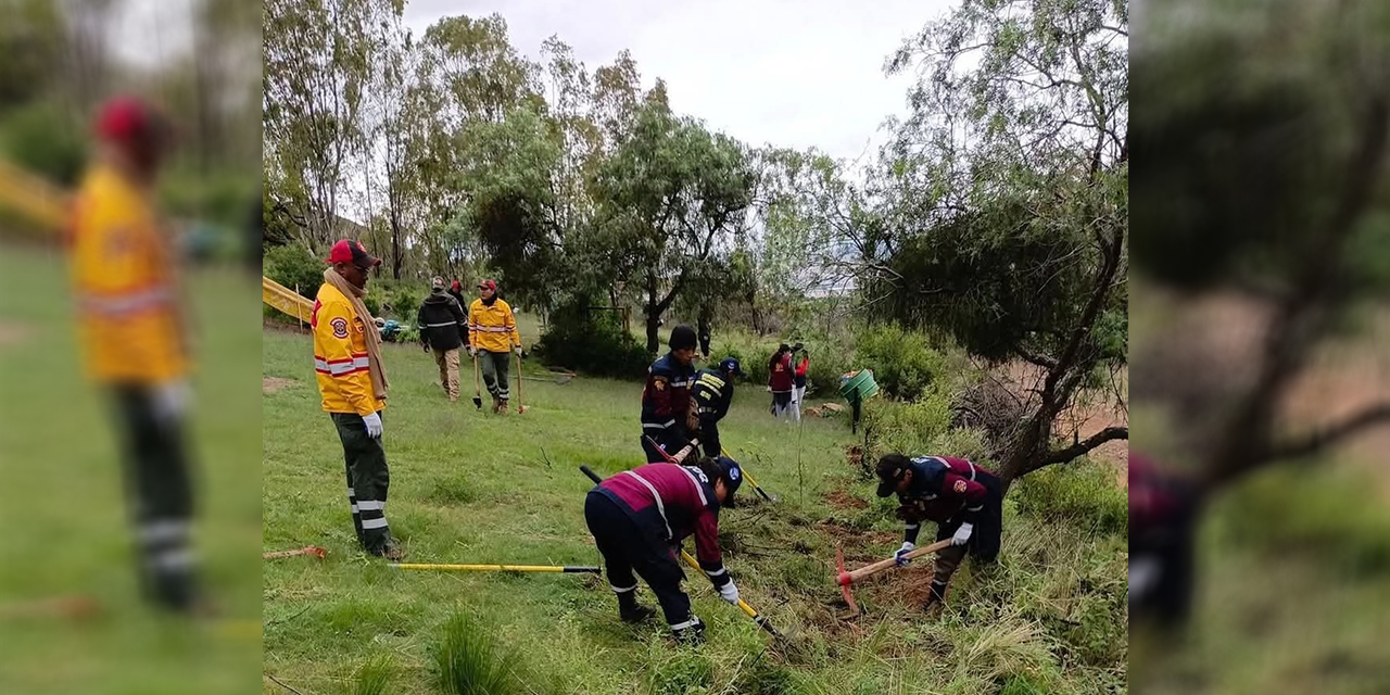 Sernap siembra 350 plantines en el Parque Nacional Tunari