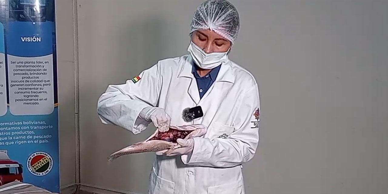 Especialista sanitaria hace una demostración de las características de un pescado en buen estado. Captura: Senasag
