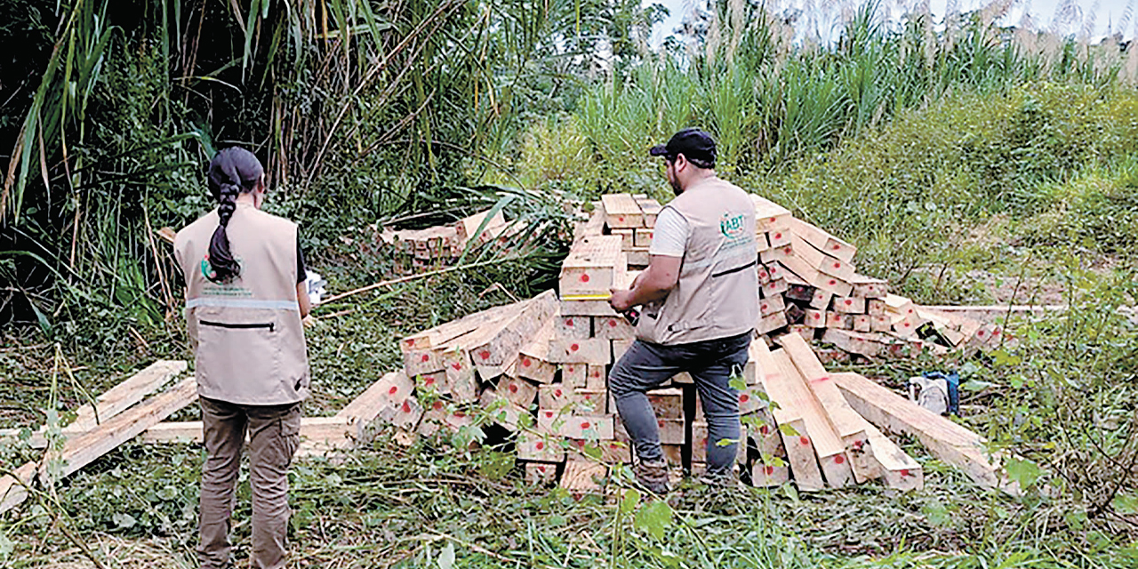 ABT comisa más de 15 mil pies tablares de madera amazónica en la frontera con Perú