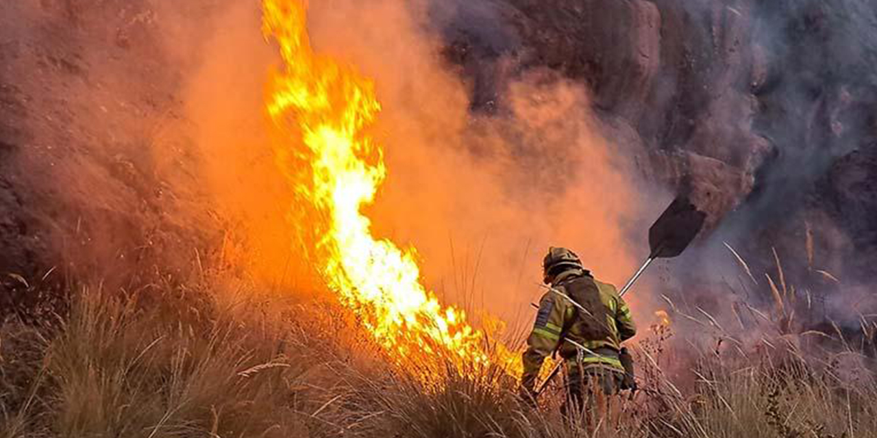 Ministerio de Medio Ambiente lanza el plan para prevenir incendios forestales 