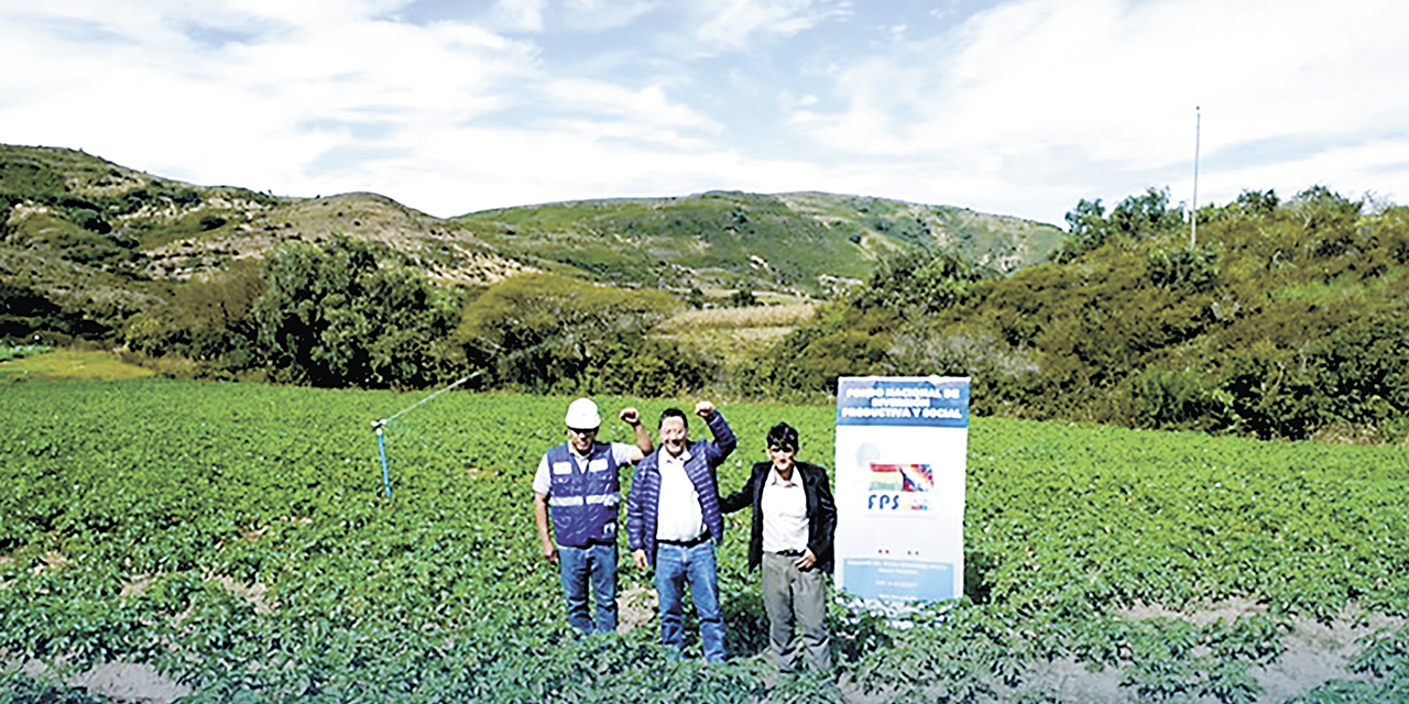 El presidente Luis Arce con productores en Chuquisaca.