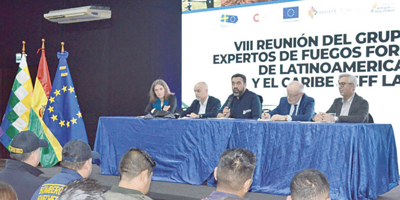 La VIII Reunión del Grupo de Expertos en Fuegos Forestales de Latinoamérica y el Caribe.