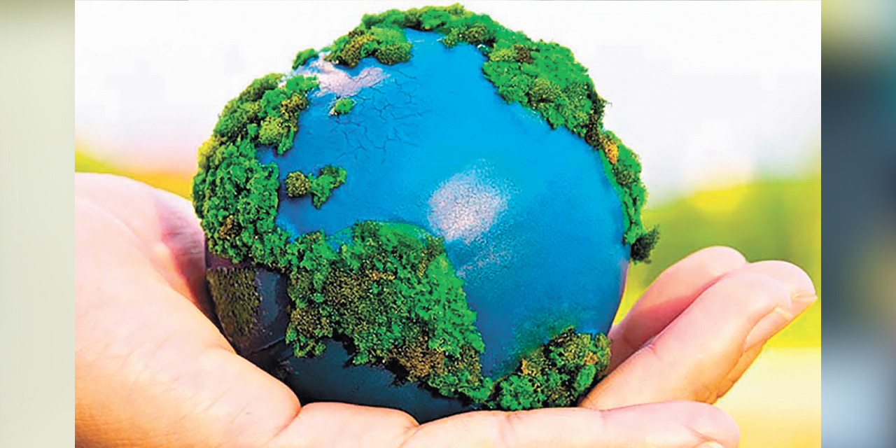 Día Mundial del Medio Ambiente.