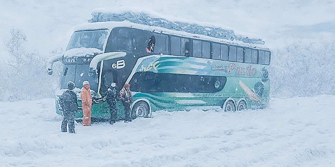 Sorprende una nevada en Tarija.