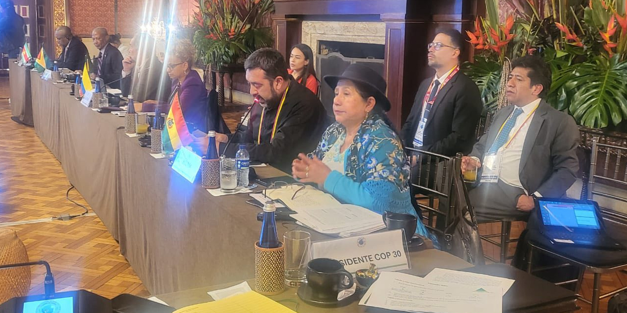 Reunión preparatoria a la V Cumbre de la OTCA.