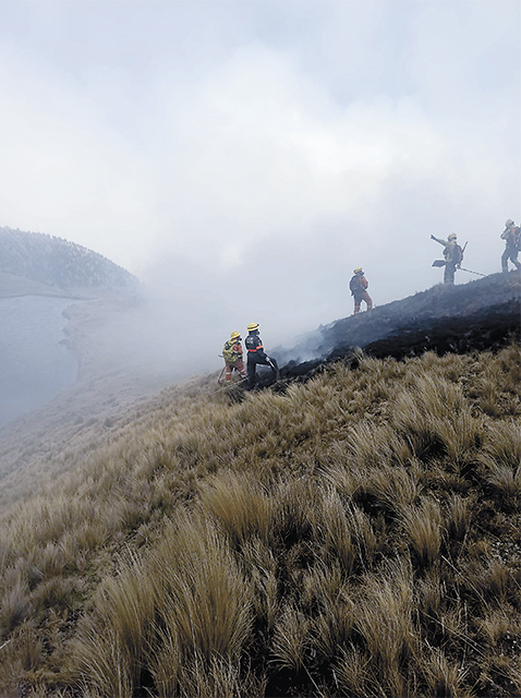 Incendios20082