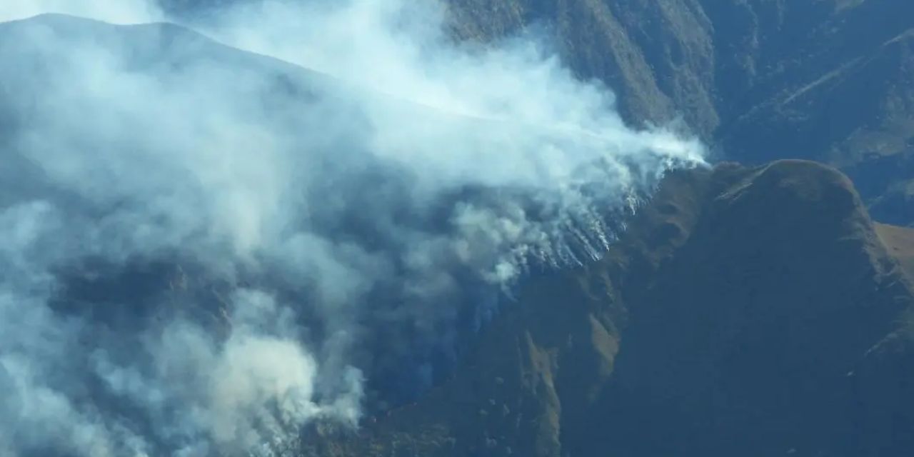El fuego afectó varias hectáreas del Parque Carrasco.