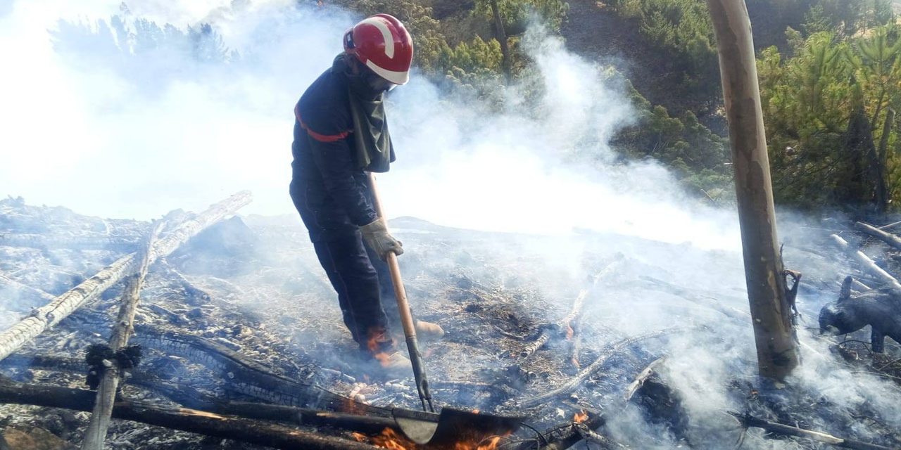 FOTO:  DEFENSA CIVIL