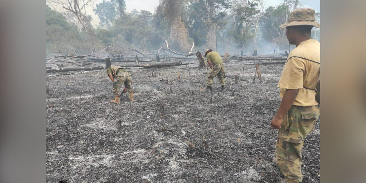 FOTO:  DEFENSA CIVIL