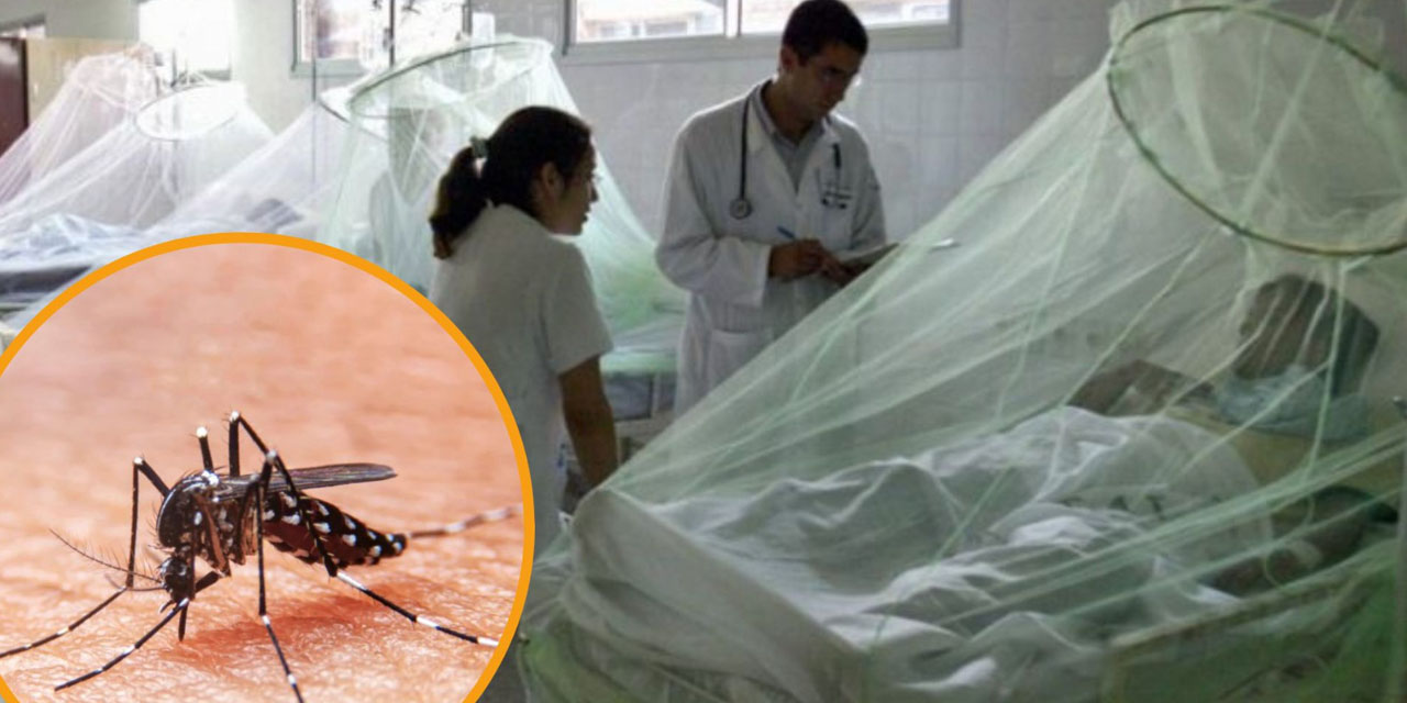 Pacientes hospitalizados con dengue.