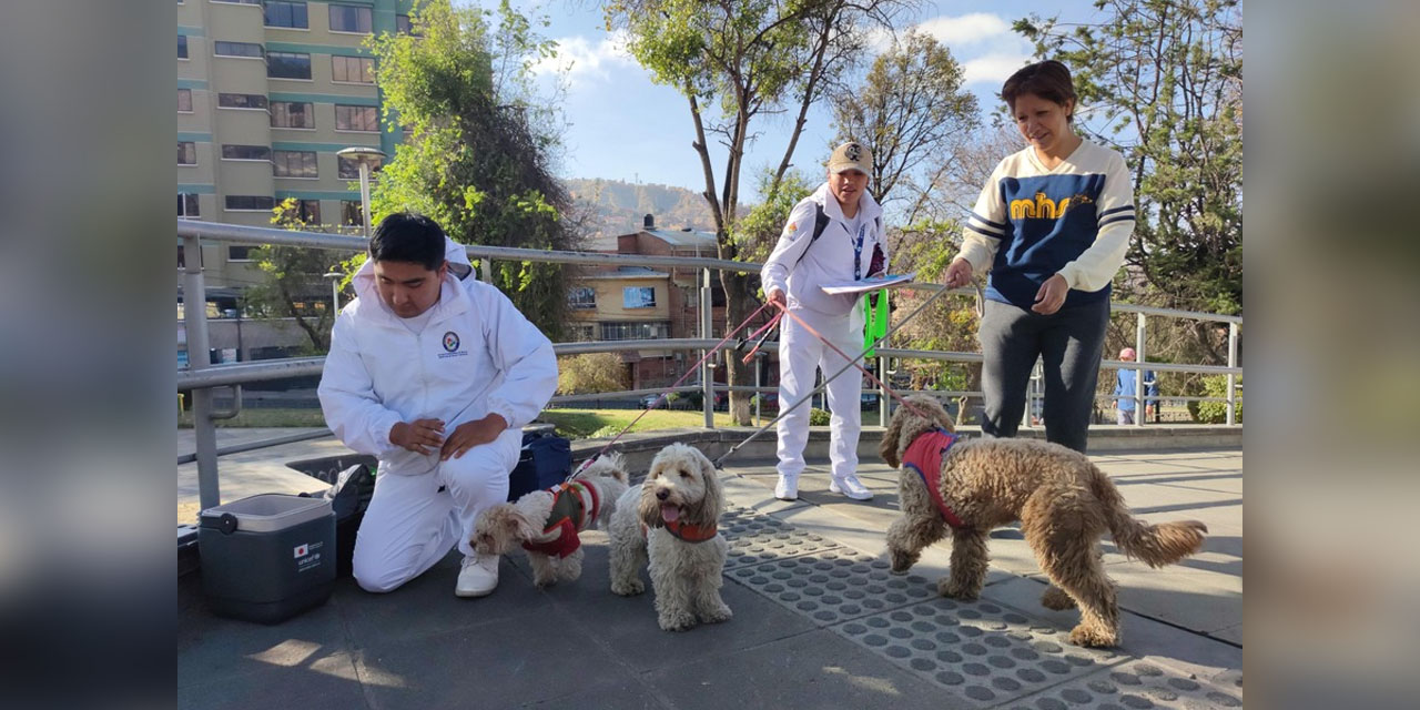 Foto: Ministerio de Salud