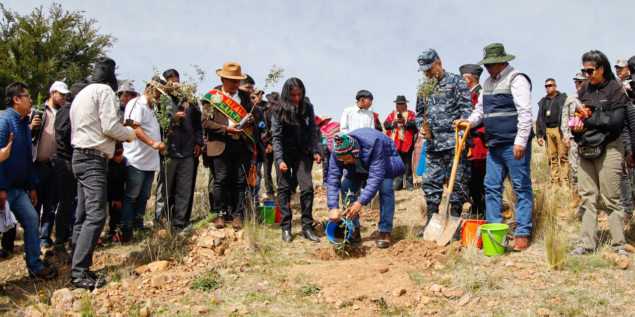 El presidente Luis Arce junto a jóvenes estudiantes de Pucarani, donde se cultivarán cinco mil plantines.