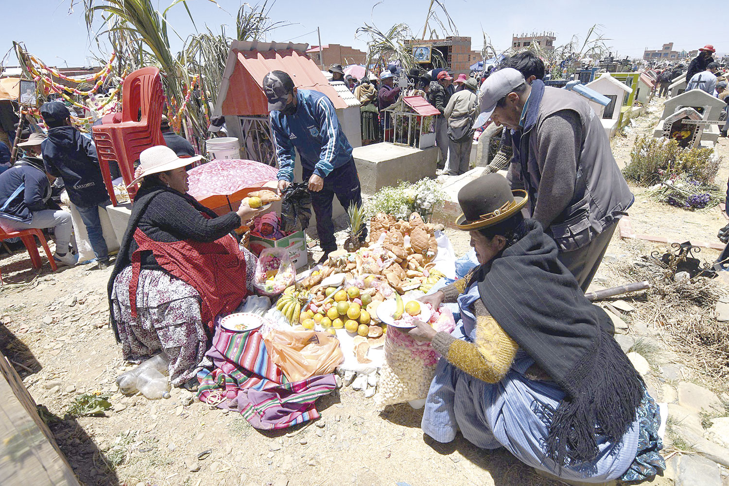 Todos santos 4 2924