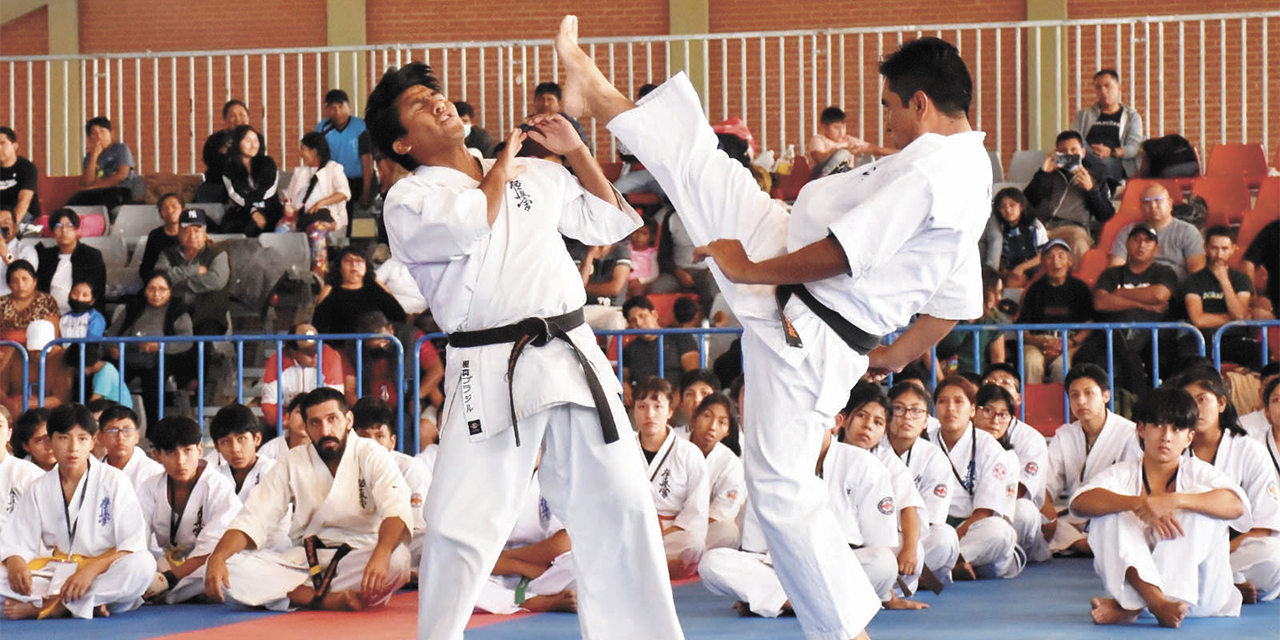 SudamericanoKarate22052