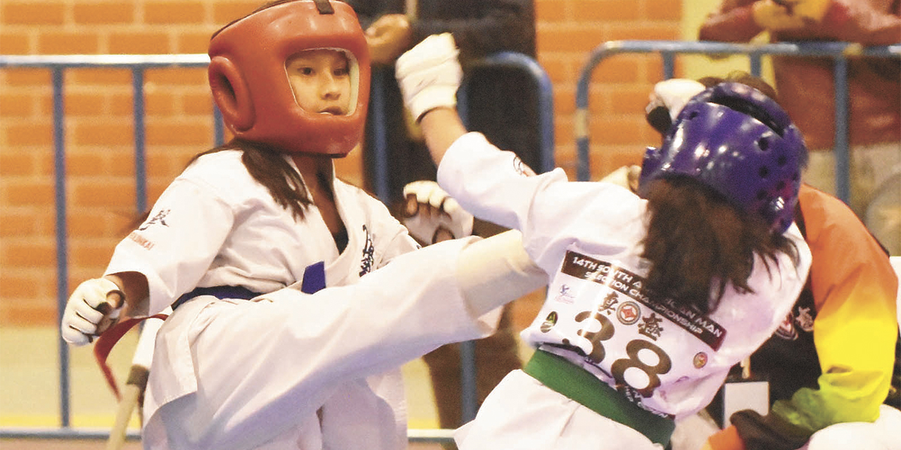 SudamericanoKarate22053