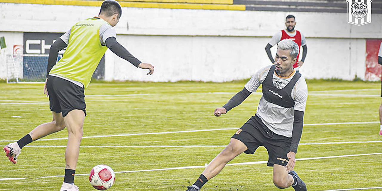 El cuadro atigrado cerró  prácticas ayer en Achumani.