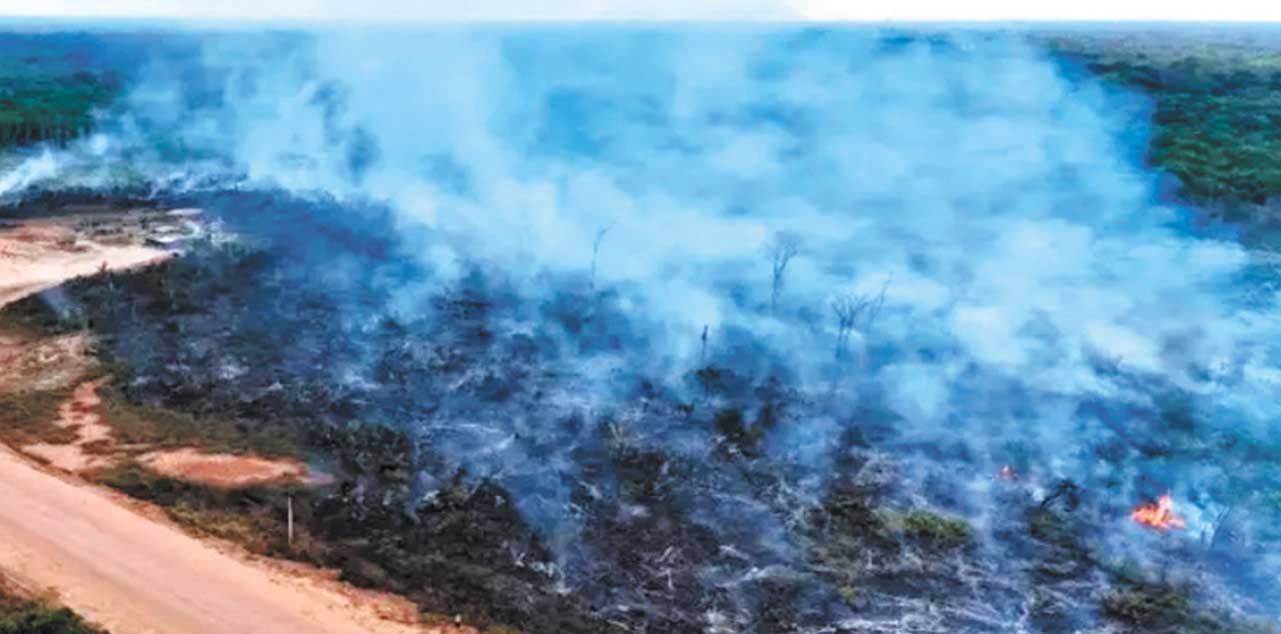 Incendios en la región de Sao Paulo, Brasil. Foto: Telesur-Excelsior