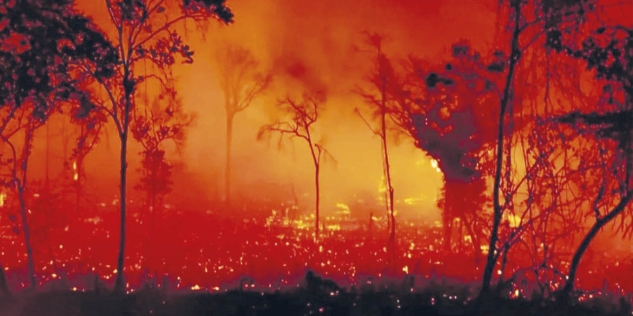 El fuego en Brasil llegó hasta la Amazonia.  | Foto: Relac Siss