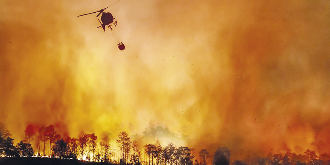 La Amazonia brasileña en una crítica situación por el fuego y la sequía.