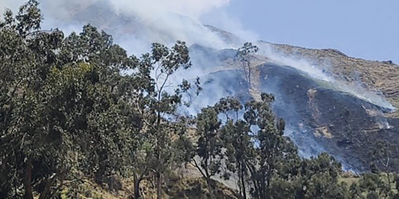 Incendio forestal en Perú. Autoridades declaran emergencia. | Foto: @COENPerú