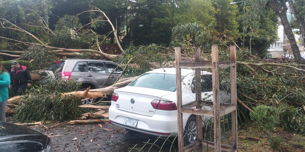 Un árbol cayó sobre dos autos, ayer. (Foto: RRSS)