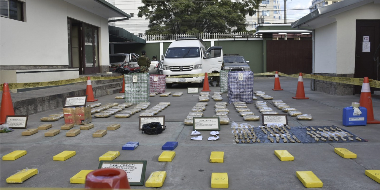 Una parte de la droga incautada al narcotráfico. (Foto: VDSySC)